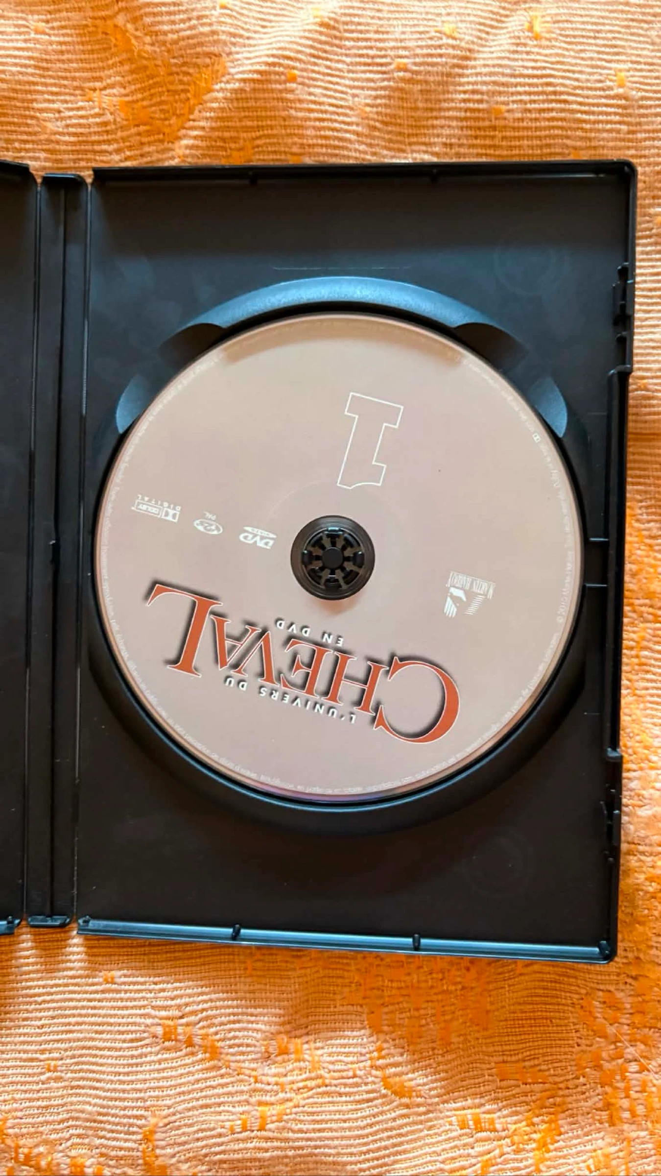 DVD sobre o universo do cavalo – photo 4
